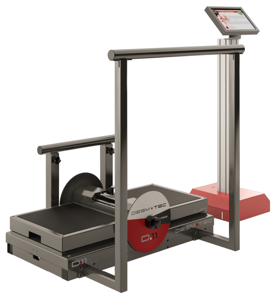 Эксцентрический тренажер Desmotec D.FULL