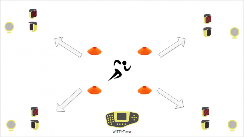 Witty-Witty·SEM-Reactivity-and-coordination-test4-Microgate.jpg Witty-Witty·SEM-Reactivity-and-coordination-test4-Microgate.jpg