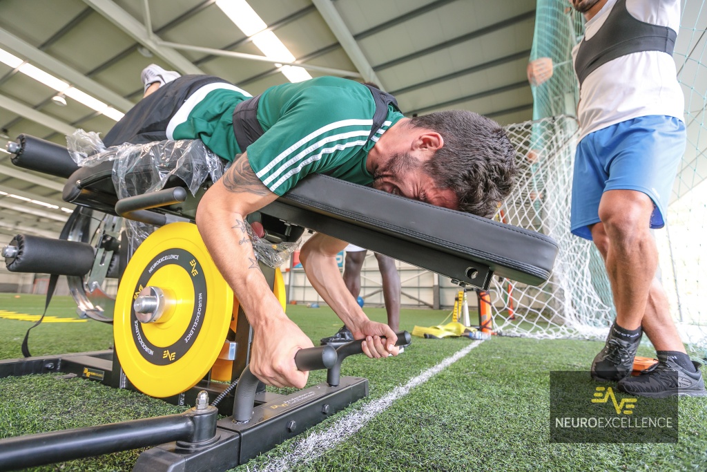 O34A9378.jpg O34A9378.jpg