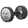 AeroFit AFPUDB2.5-25 набор полиуретановых гантелей, 2,5-25 кг, 10 пар, шаг 2,5 кг