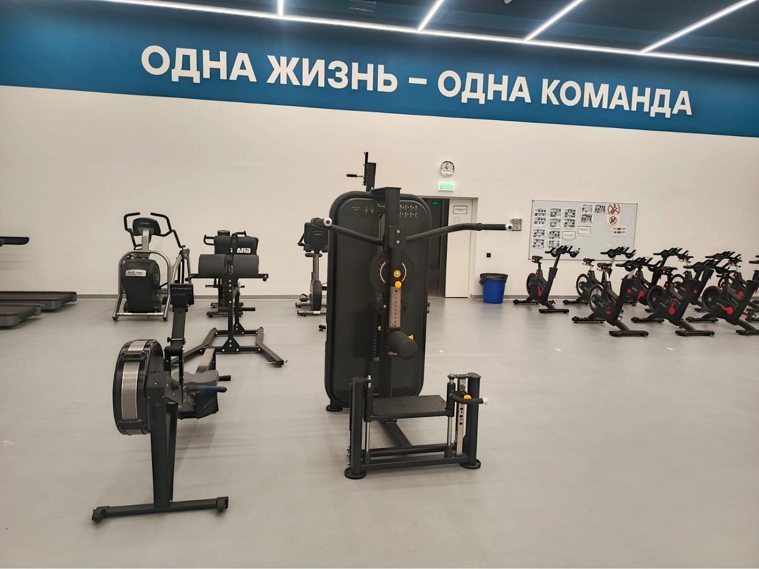 Доставили и собрали для ФК «Динамо» (Москва) гребной тренажёр Concept RowErg, лыжный тренажёр Concept SkyErg и грузоблок для махов Vision