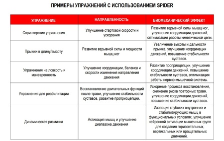 Система силовых реактивных тренировок Spider Pro