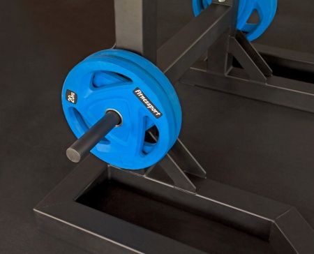 Монолифт для пауэрлифтинга (с хранением дисков)