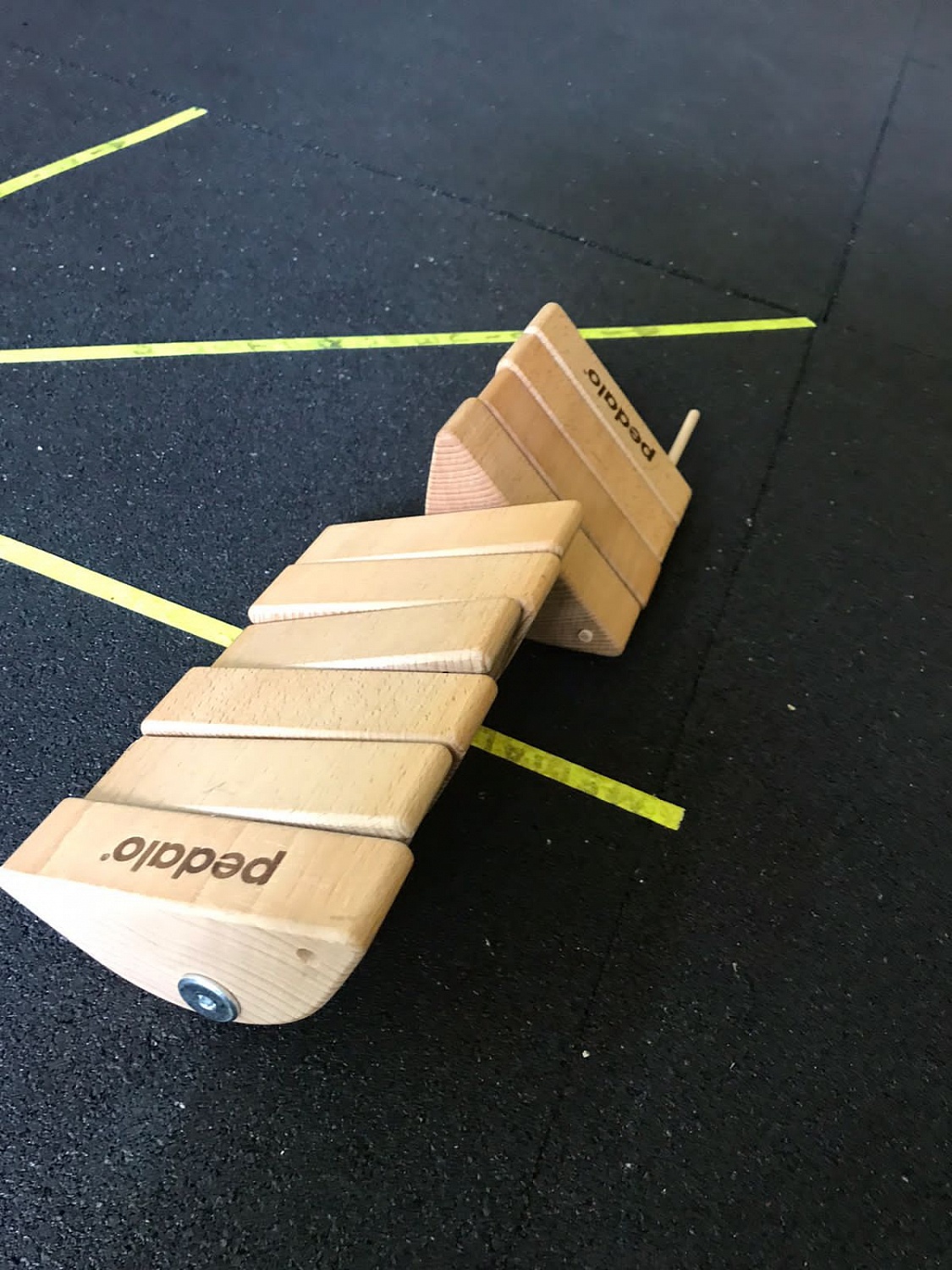 Балансировочные тренажеры Pedalo для Евгения Тимирбулатова, тренера по физподготовке ГК «Ростов-Дон»