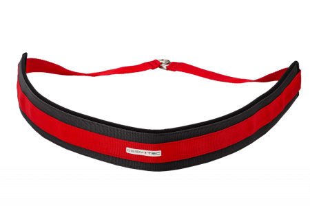 Эксцентрический тренажер Desmotec D.PLUS (Made in Italy, Pininfarina)