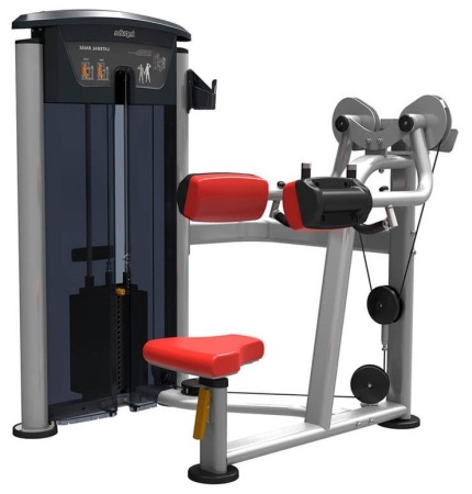 IT9524 Дельтовидные Impulse Techno (91 кг)