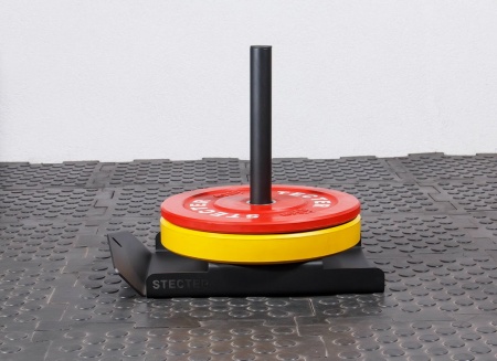 Сани Монолыжа