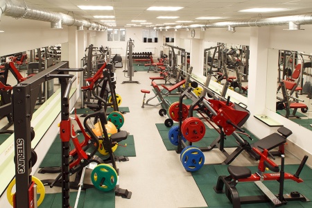 SL7017 Икроножные сидя Sterling