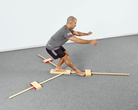 Система функционального тестирования FMS Professional Y-Balance Test Kit