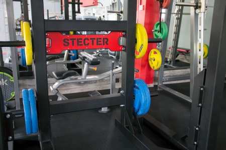 Монолифт для пауэрлифтинга (с хранением дисков)