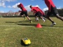 Спортивный бипер (сигнализатор) Sportbeeper Pro (+ звуковая заглушка + штатив + адаптер + шнур)