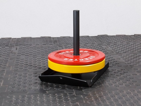 Сани Монолыжа