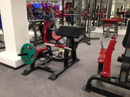 SL7023 Бицепс Sterling